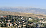 Местные власти